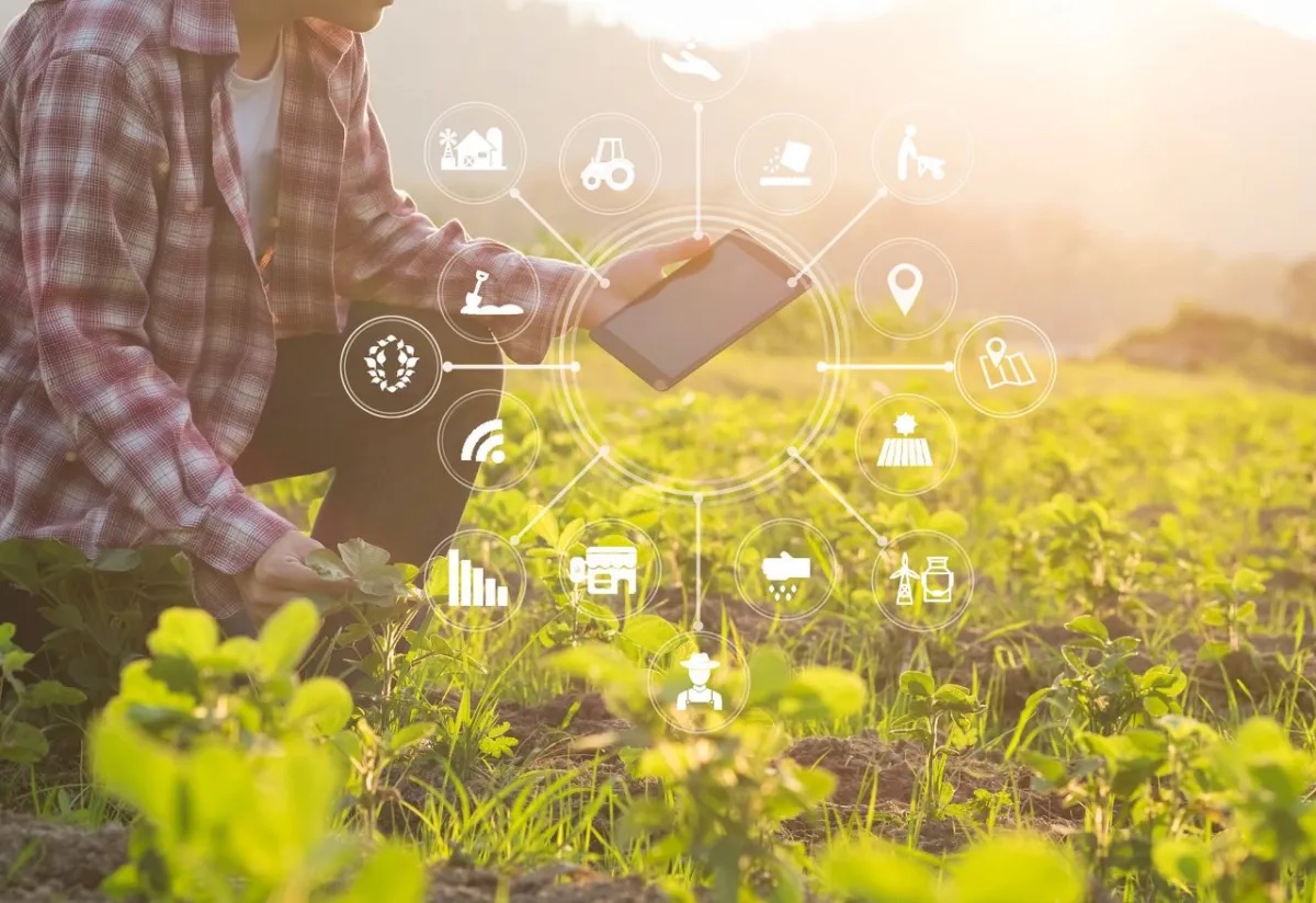 IoT Agriculture solutions