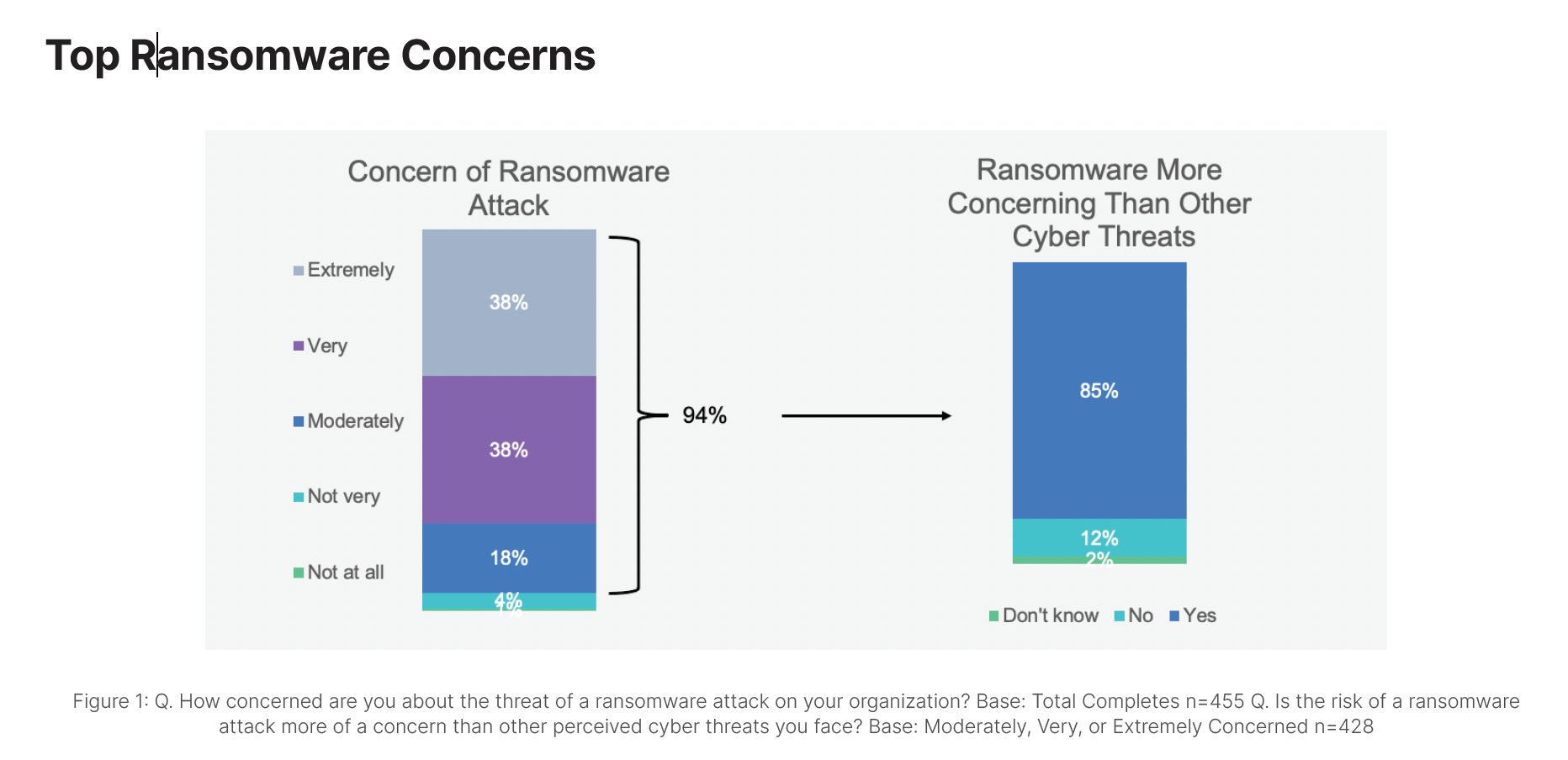 Top Ransomware Concerns