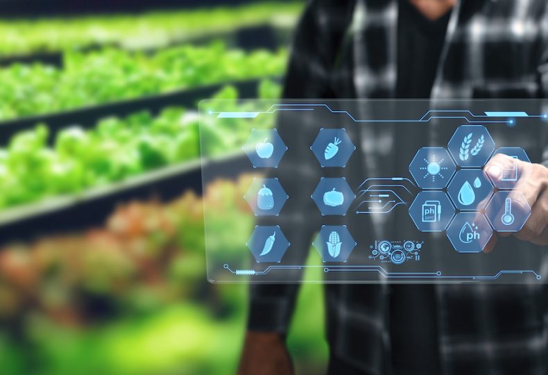 Machine Learning and Data Engineering Applications in Agriculture