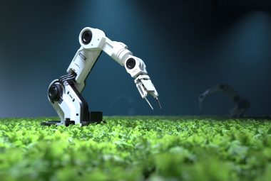 Machine Learning in agriculture